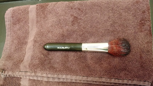 How to Clean Your Makeup Brushes with a Shampoo